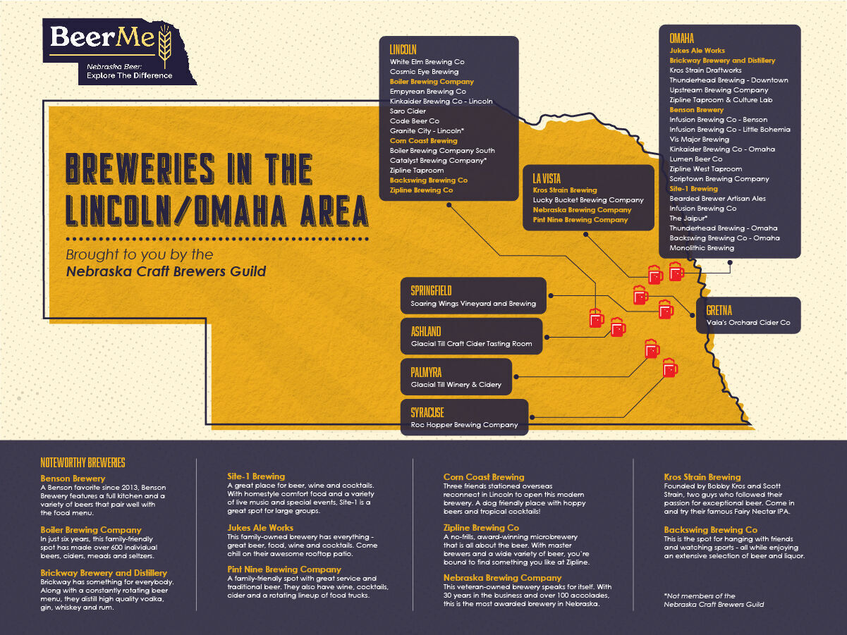 NE craft beer inforgraphic